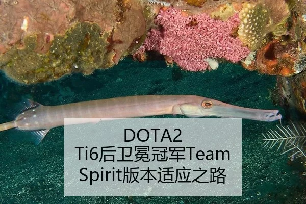 DOTA2 Ti6后卫冕冠军Team Spirit版本适应之路