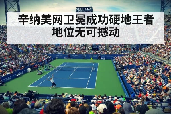 辛纳美网卫冕成功硬地王者地位无可撼动